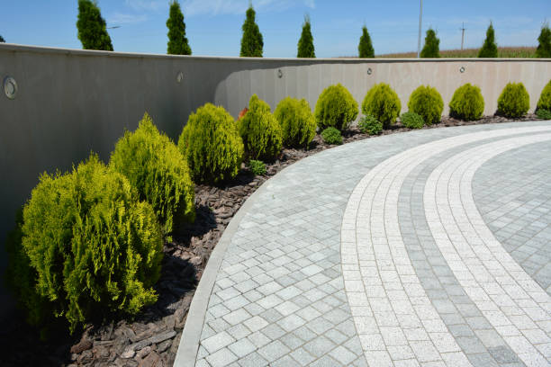 Best Residential Paver Driveway  in Homerville, GA